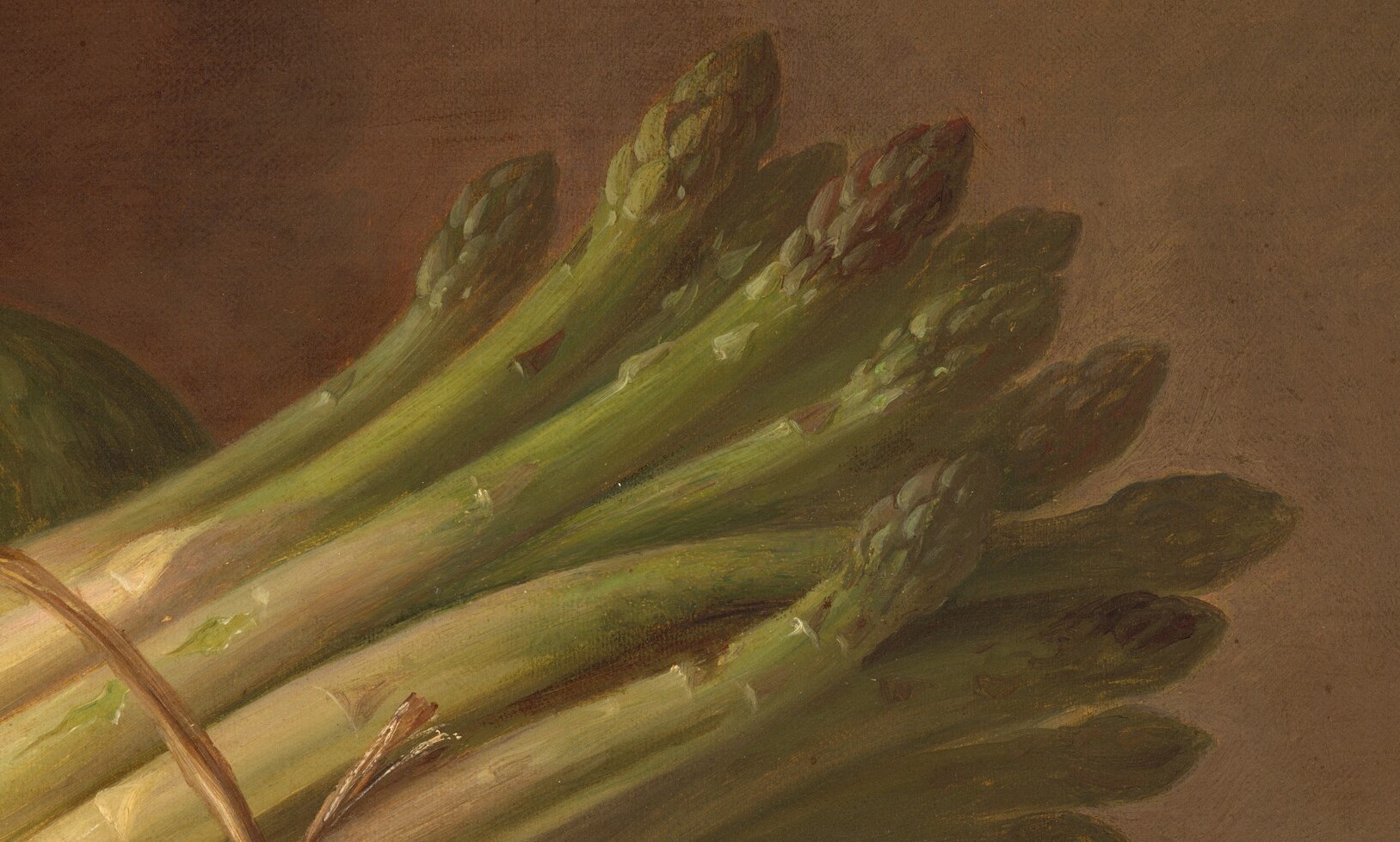 Now, the green tips, fresh and promising growth.