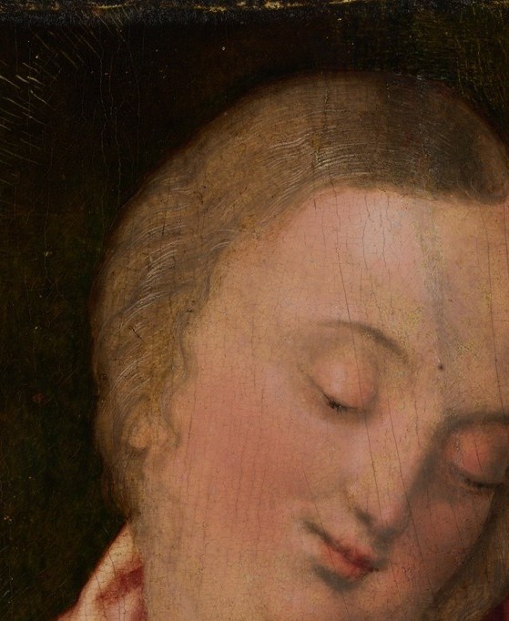 He painted this in 1516, already Europe's most famous living artist.