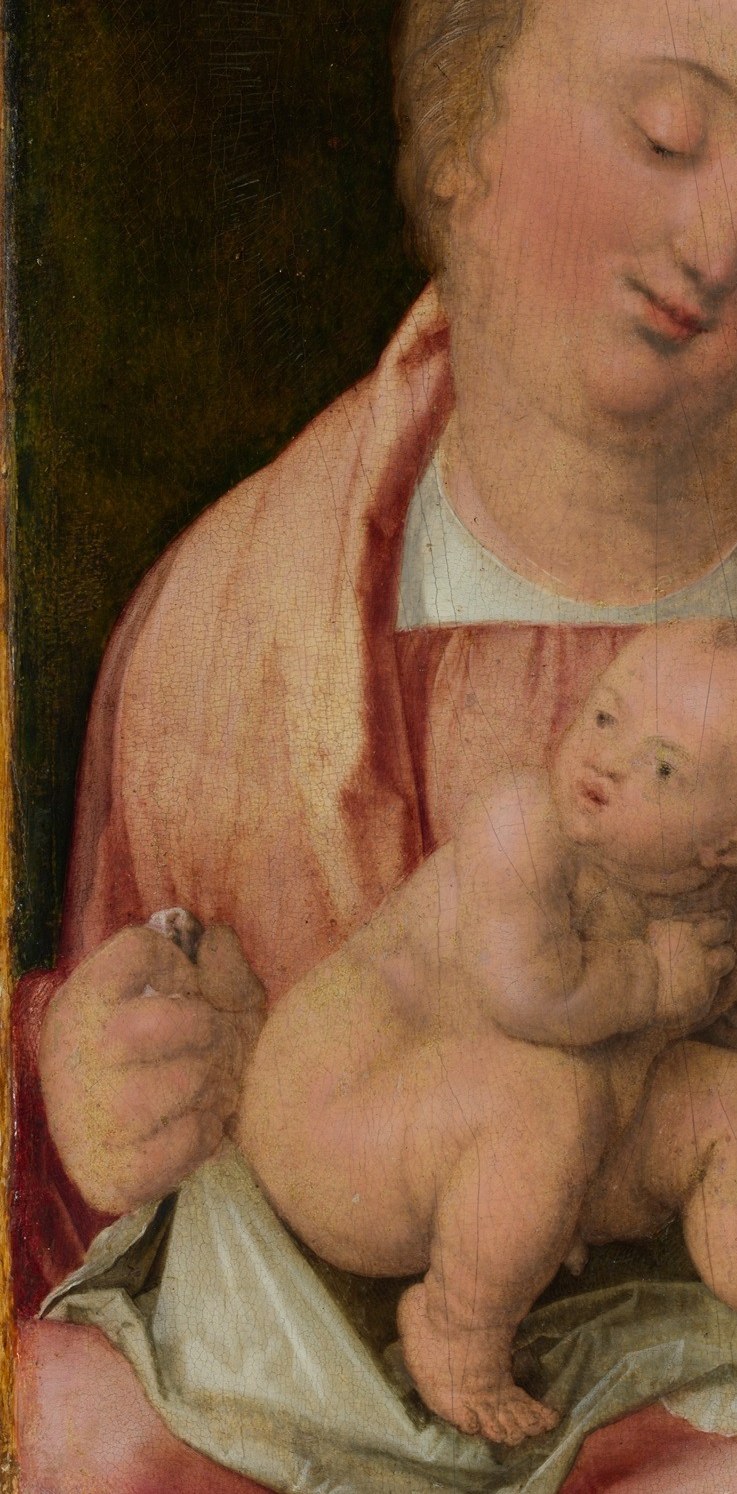 Red symbolizes the Passion of Christ; the heavy, weighted folds across her left arm display Dürer's graphic draughtsman discipline now translated into oil glazes