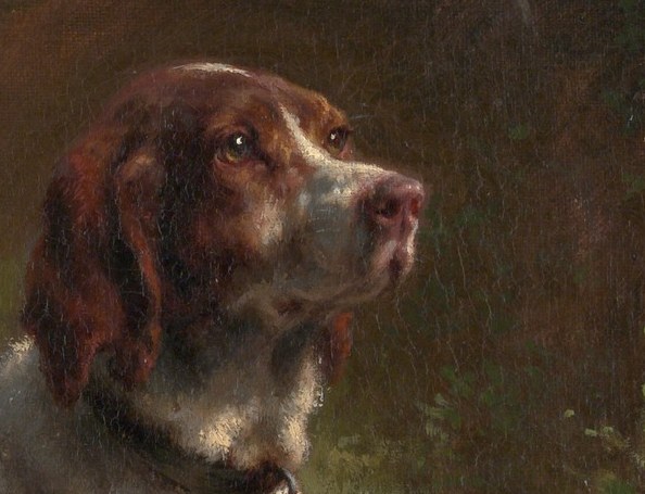 The dog's gaze is directed forward, suggesting alertness and focus on something unseen.