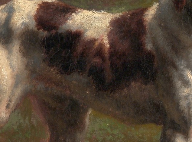 The rich brown patches on the hindquarters show the texture and depth of the dog's coat.