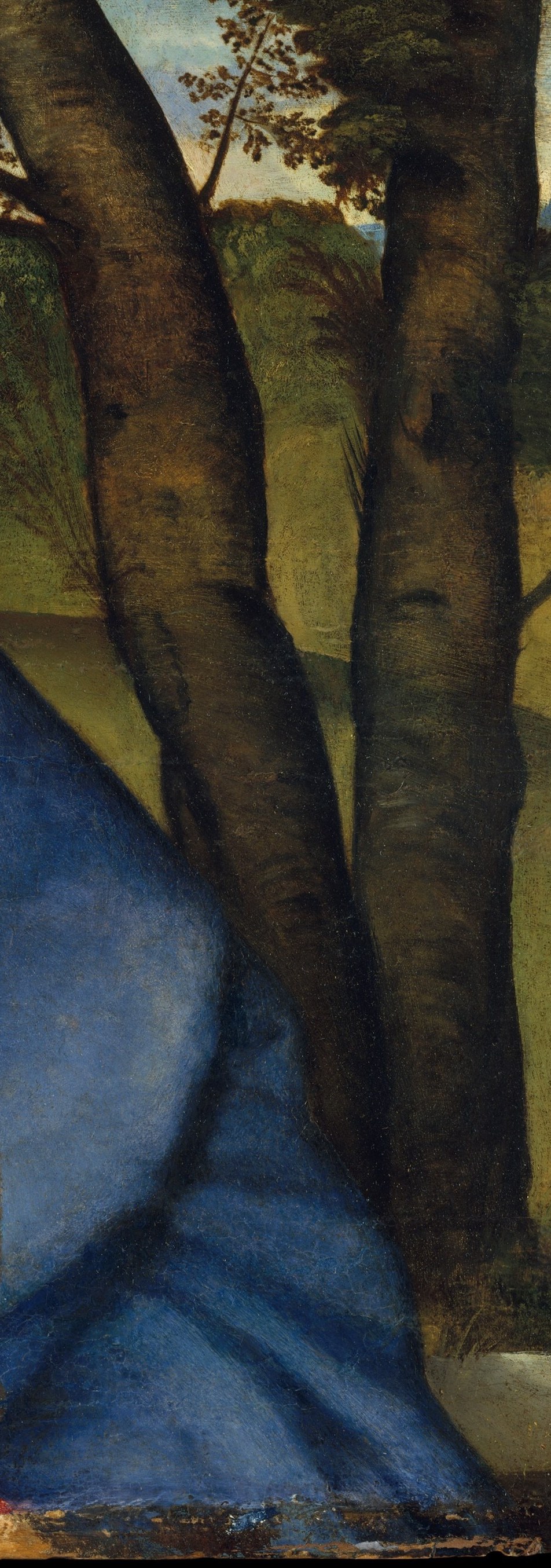 A structural vertical anchoring the composition; partly obscures the sky and echoes the column-like framing device common in Venetian devotional panels