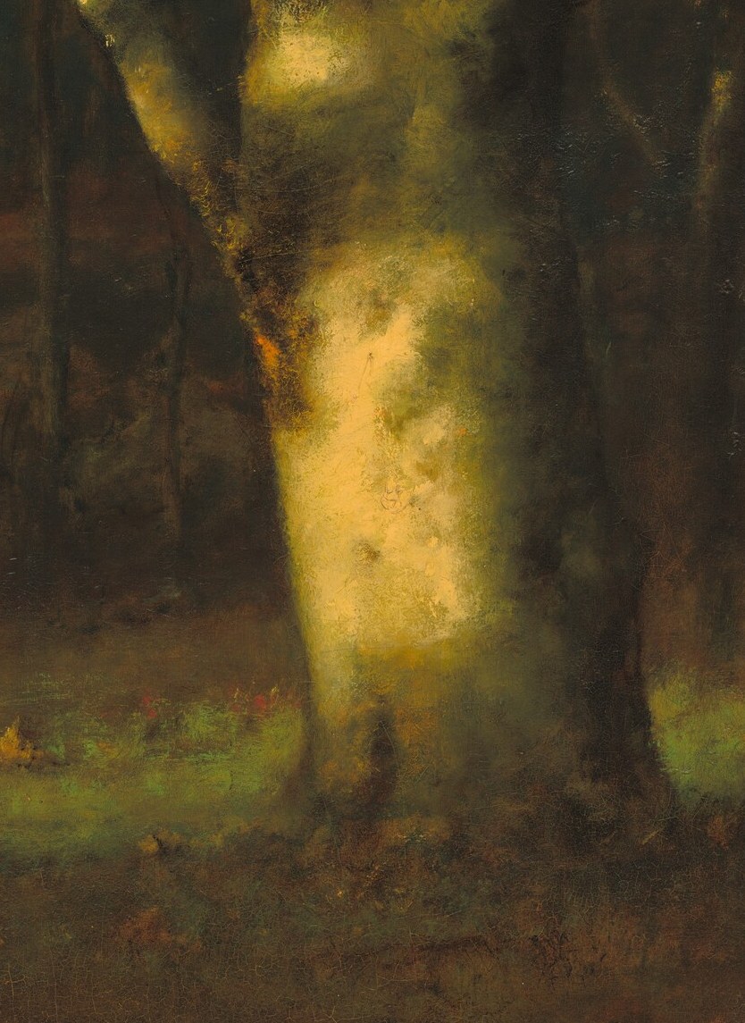 Notice how the last light of day touches this tree trunk.