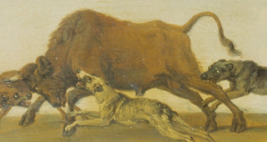 The bull charges with immense, palpable power.