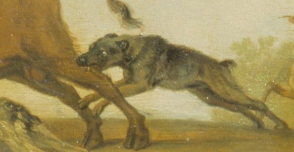 Hunting dogs attack its flank with fierce determination.