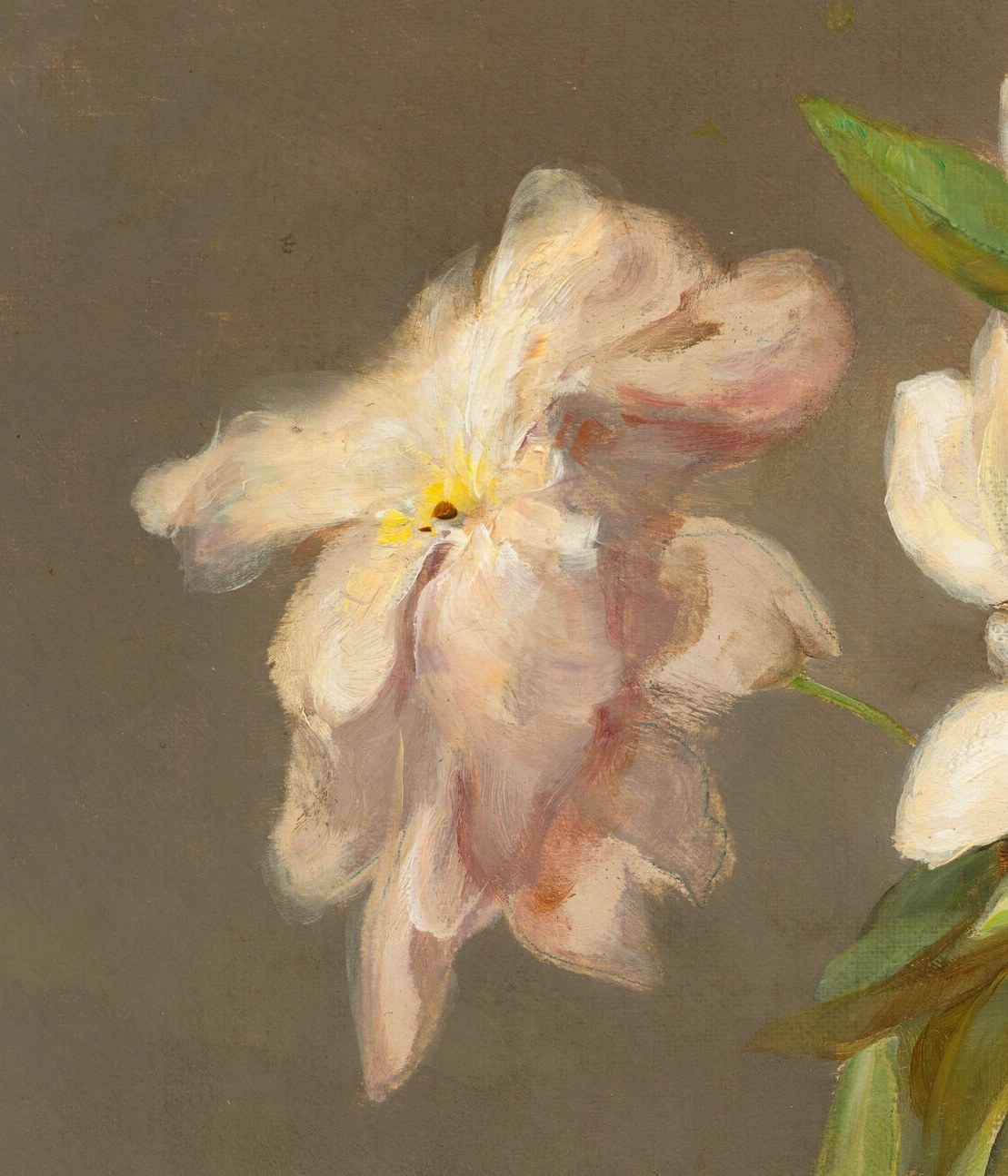 This bloom's slightly drooping posture and soft pink hues suggest a sense of gentle melancholy or the passage of time.