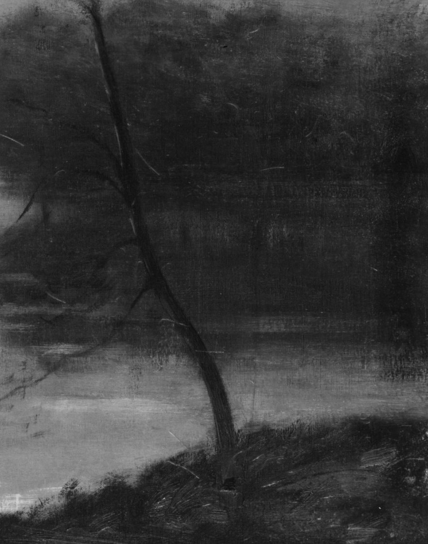 Bogert masterfully used contrasts between light and dark.
