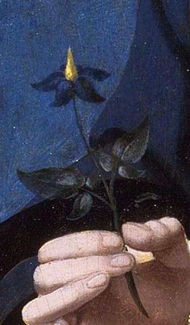 It is a sprig of bittersweet nightshade, beautiful and poisonous.