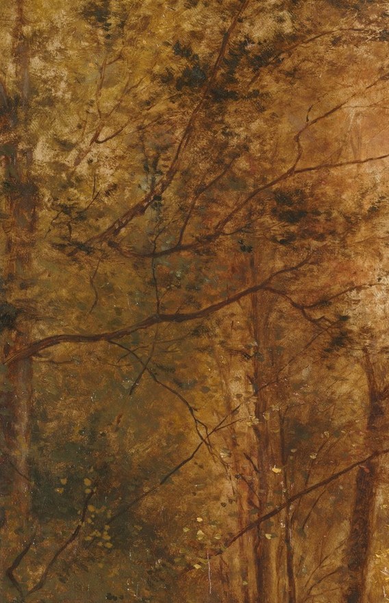 Bare branches reach for a cloudy sky.