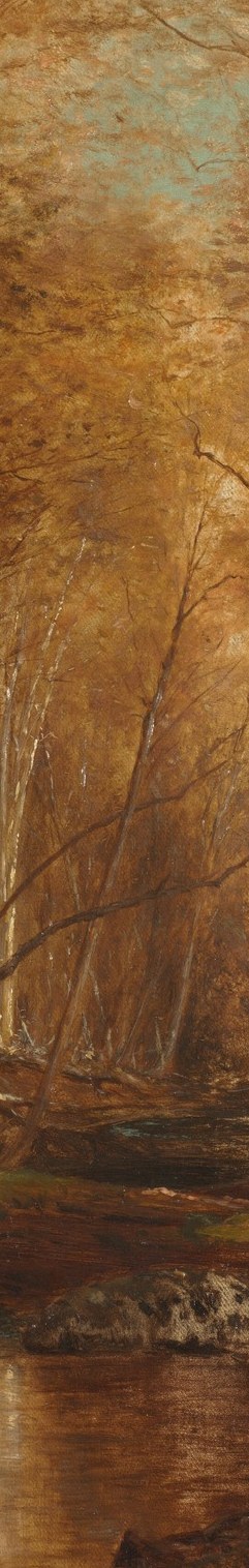 Its weathered bark and upward reach suggest resilience and the passage of time.