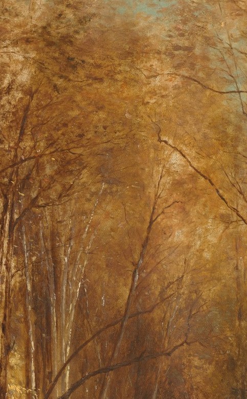 Sunlight filters through the distant trees.