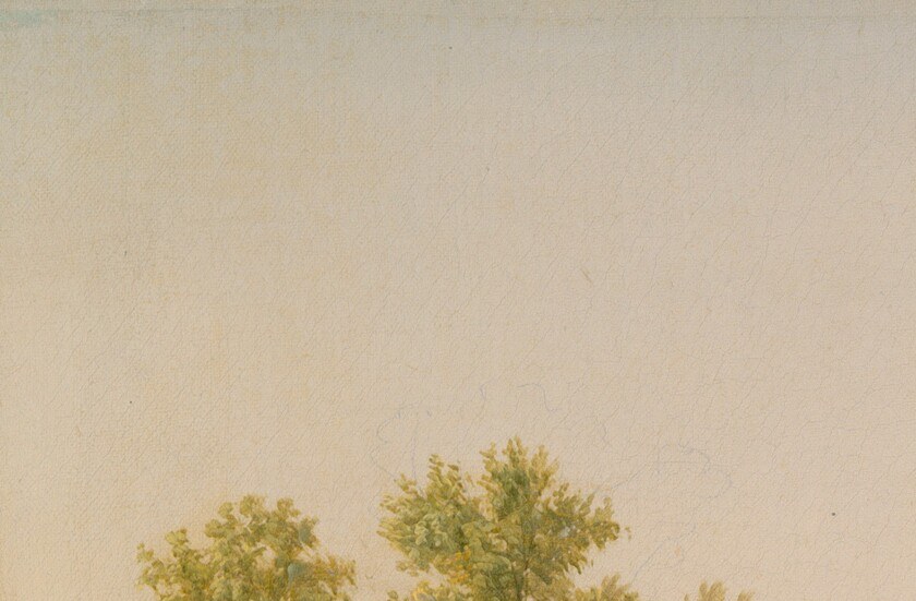 Notice how the golden light touches this tree crown, then the peak.