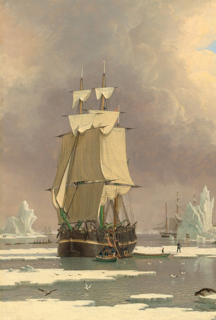 The dominant vessel , Swan or Isabella , whose billowing sails and complex rigging anchor the composition and convey the scale of Arctic whaling enterprise