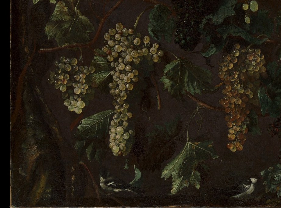 The grapes glow like stained glass against the pure black ground.