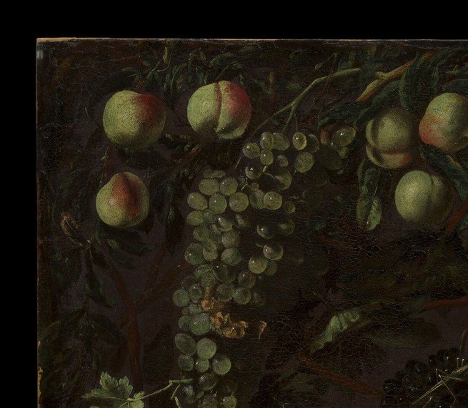 Not mere backdrop but active compositional force; Cavarozzi's Caravaggesque inheritance makes darkness an equal participant , every lit element is defined by what it is not