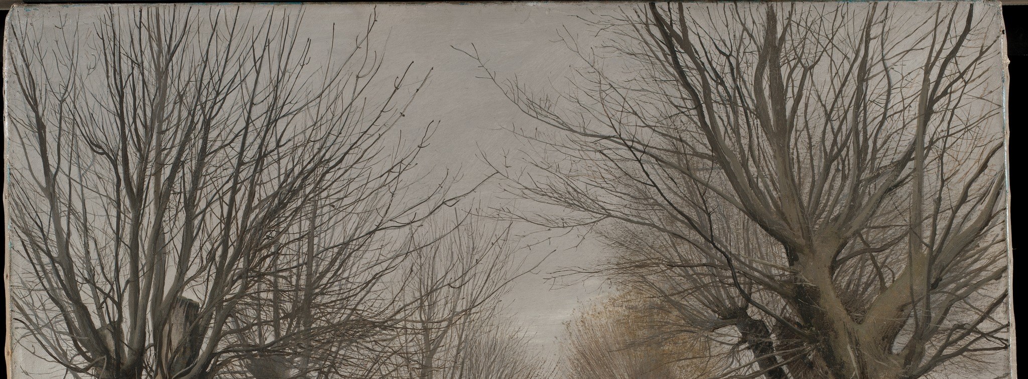 Yet, these branches glow against the pale background.