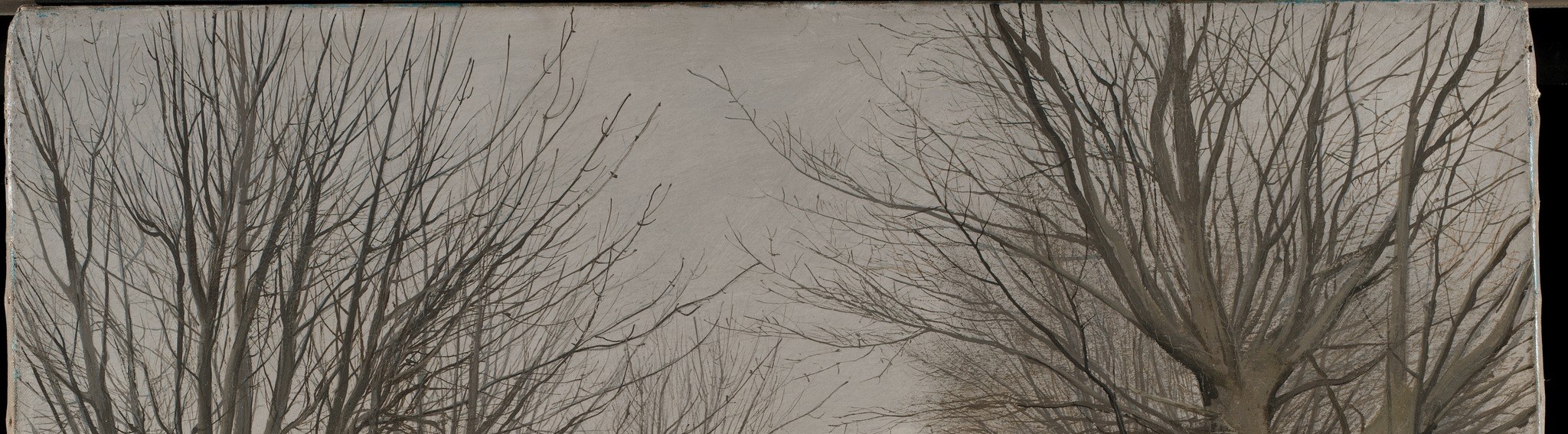 Notice the muted, overcast sky. It diffuses all the light.