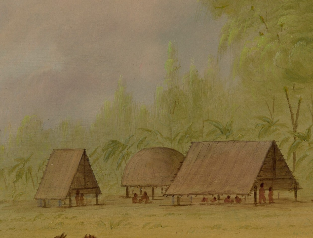 This is a Pacapacurus village, somewhere in South America.
