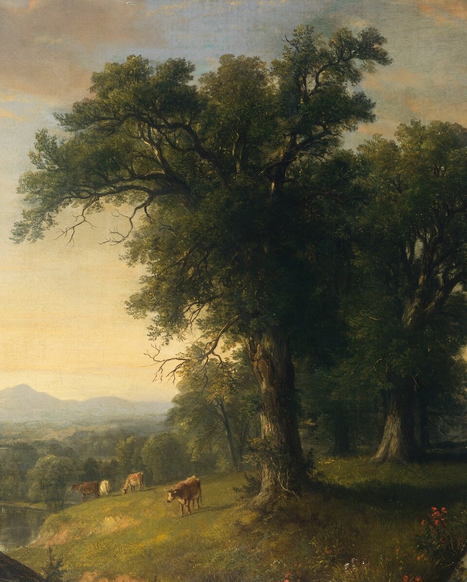 The compositional anchor of the entire scene; Durand's signature Hudson River School reverence for individual trees as spiritual monuments , its gnarled canopy fans across nearly the full upper half of the canvas.