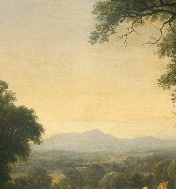 A transitional mass connecting foreground shadow to the lit middle distance; the variety of foliage types reveals Durand's botanical fidelity , each species rendered with individual character.