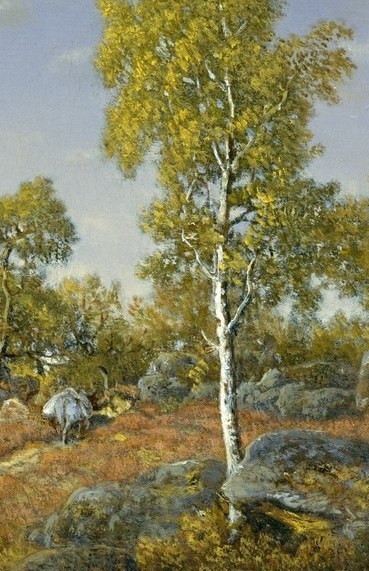 Look at the birch tree. Its trunk almost glows.