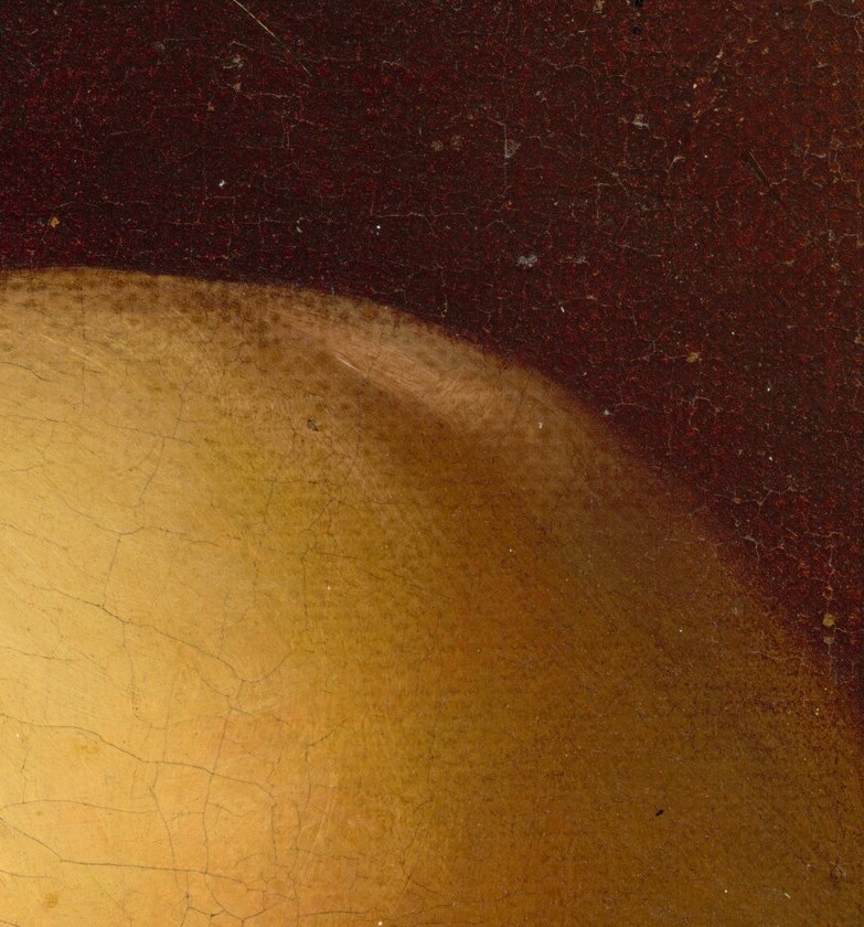 The light catches its taut skin, creating a sharp highlight.