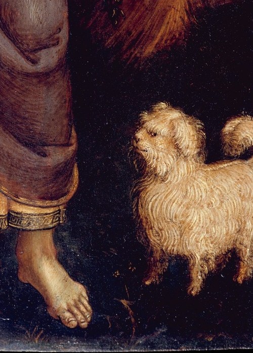 Even the dog looks where she looks.