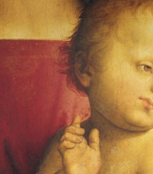 His slightly turned head and direct gaze create an engaging, almost human, interaction with the viewer.