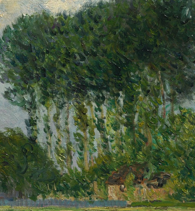 Their verticality and dense foliage create a strong visual anchor, suggesting a lush, perhaps slightly wild, natural environment.