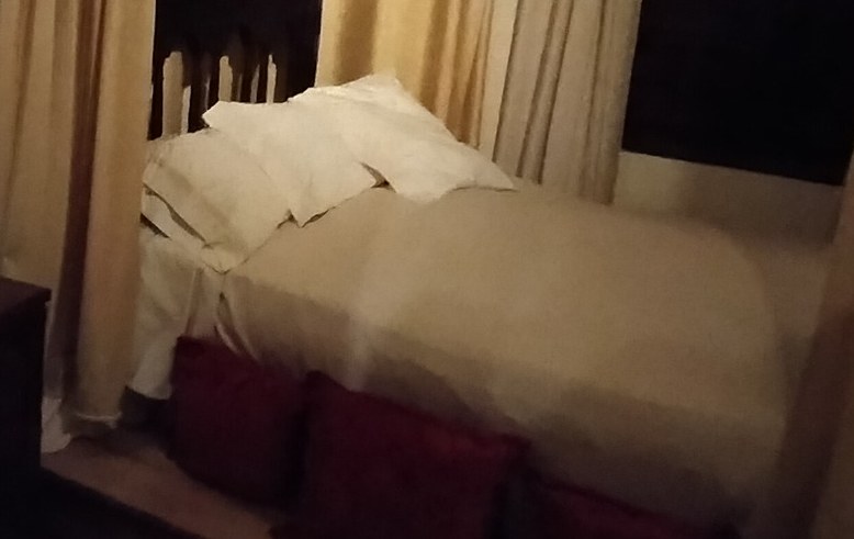 There, the canopy of a large bed emerges.