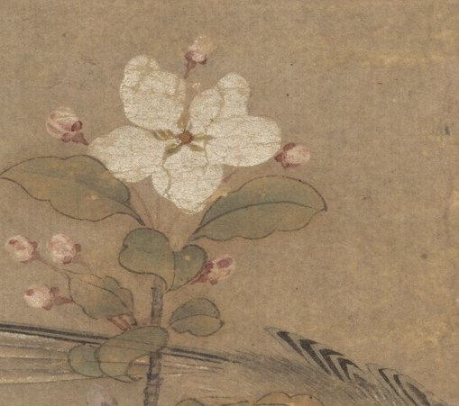 And the soft colors of the cherry blossoms.