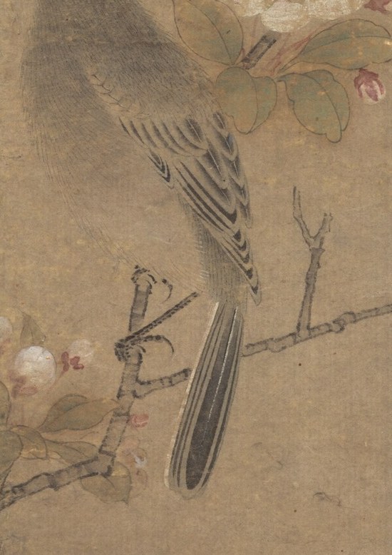 The delicate rendering of feathers and subtle shading convey a sense of naturalistic detail and fragility.