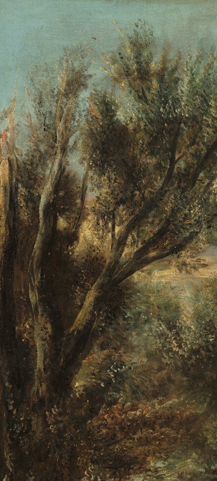 Magnasco's signature gnarled-tree motif; the trees lean away from the storm in unison with the waves, implicating all of nature in the upheaval.