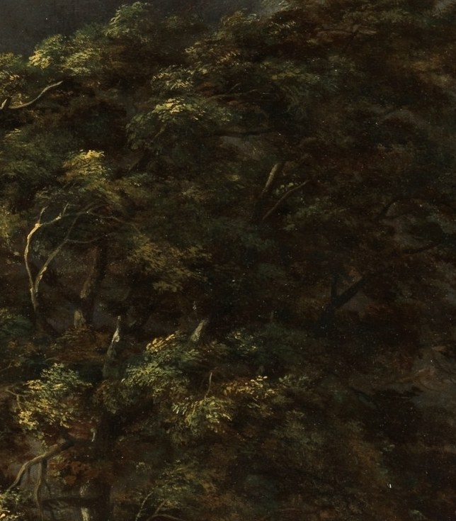 Yet light still filters through the canopy.