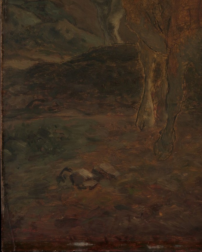 The closest and most legible animal, its broad back occupying the immediate foreground; light catches its pale flank against the dark ground.