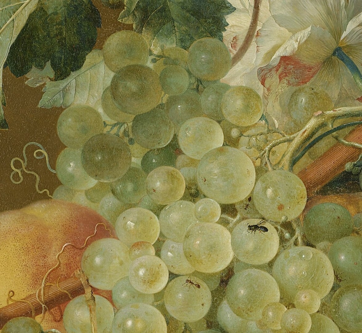Look at these grapes. Notice the way light shines through them.