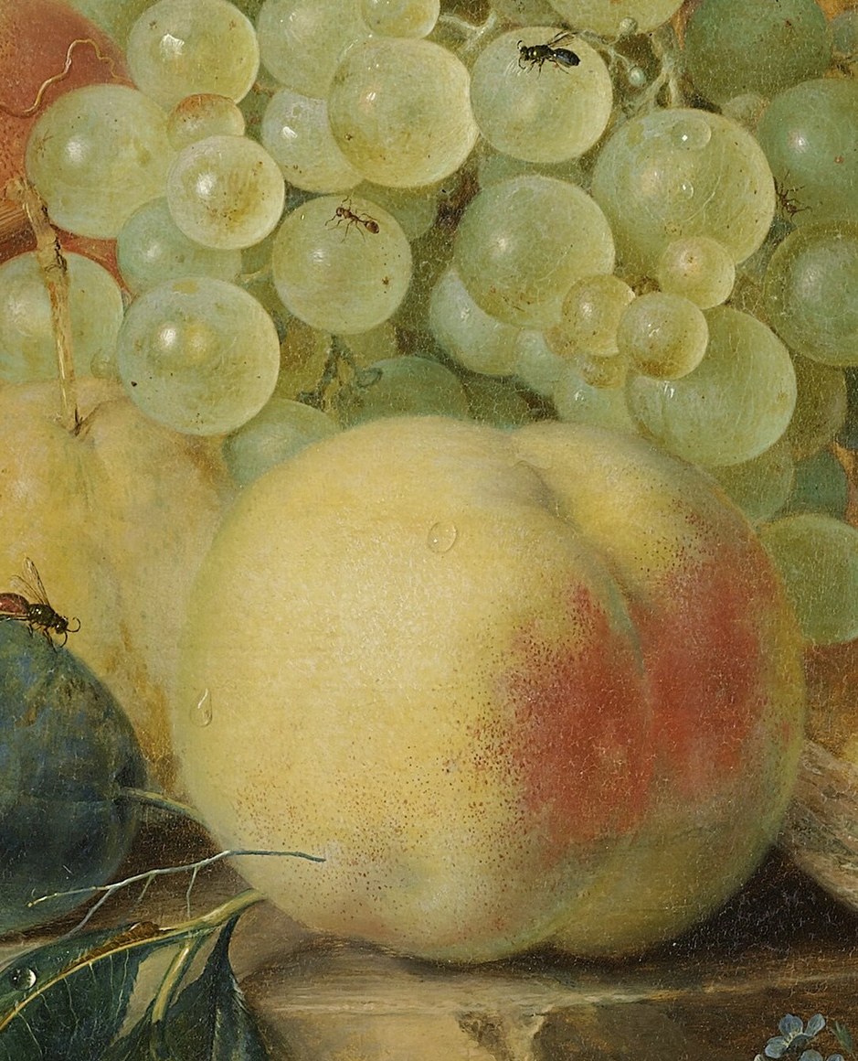 The soft, velvety texture and warm coloration of the peach evoke a sense of ripeness and sweetness.