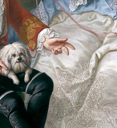 A Bolognese or Maltese lapdog on a red leash; lap dogs in 18th-century portraits signal fidelity and domesticity, making this pet a coded declaration of marital loyalty.