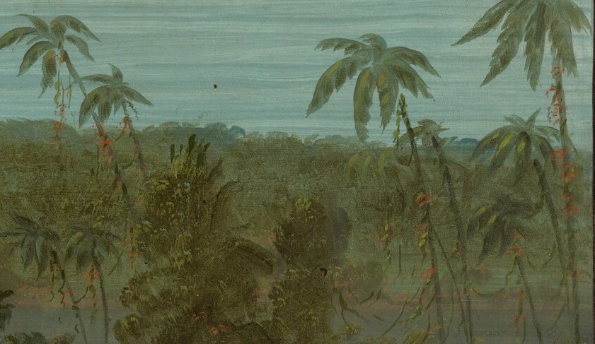He was documenting the Amazon, far from his usual subjects.