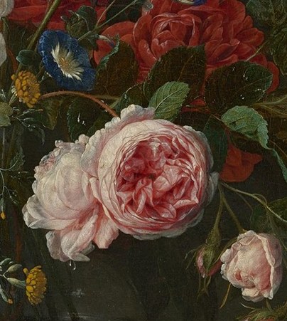 See how light illuminates each petal of this pink rose?