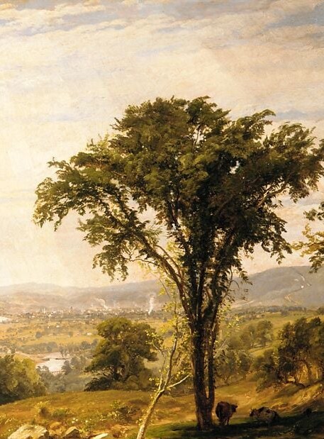 The painting's primary compositional pillar; its silhouette frames the valley vista and leads the eye from earth to sky, a signature Hudson River School device