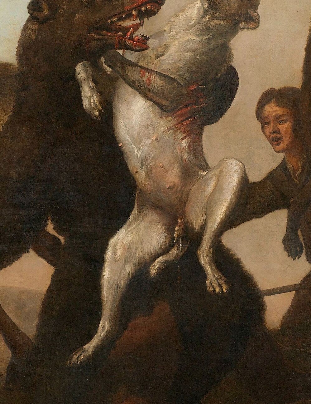 The dog's determined attack and the blood on its fur show the brutal nature of the chase.