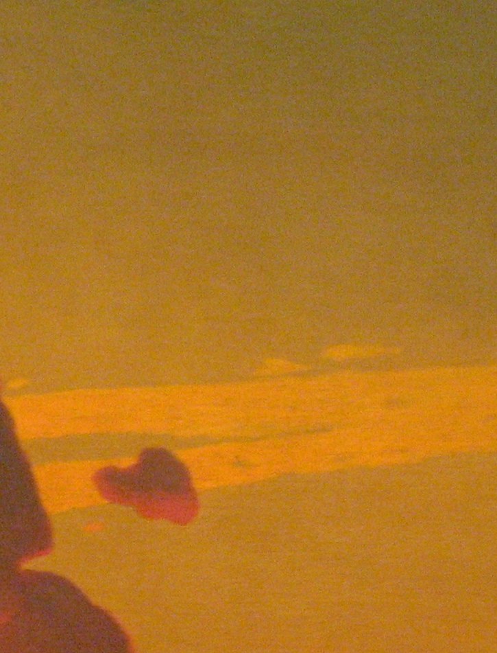 The technique is called impasto, it traps light on the surface.