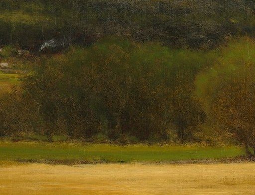 A lone tree stands against the storm.