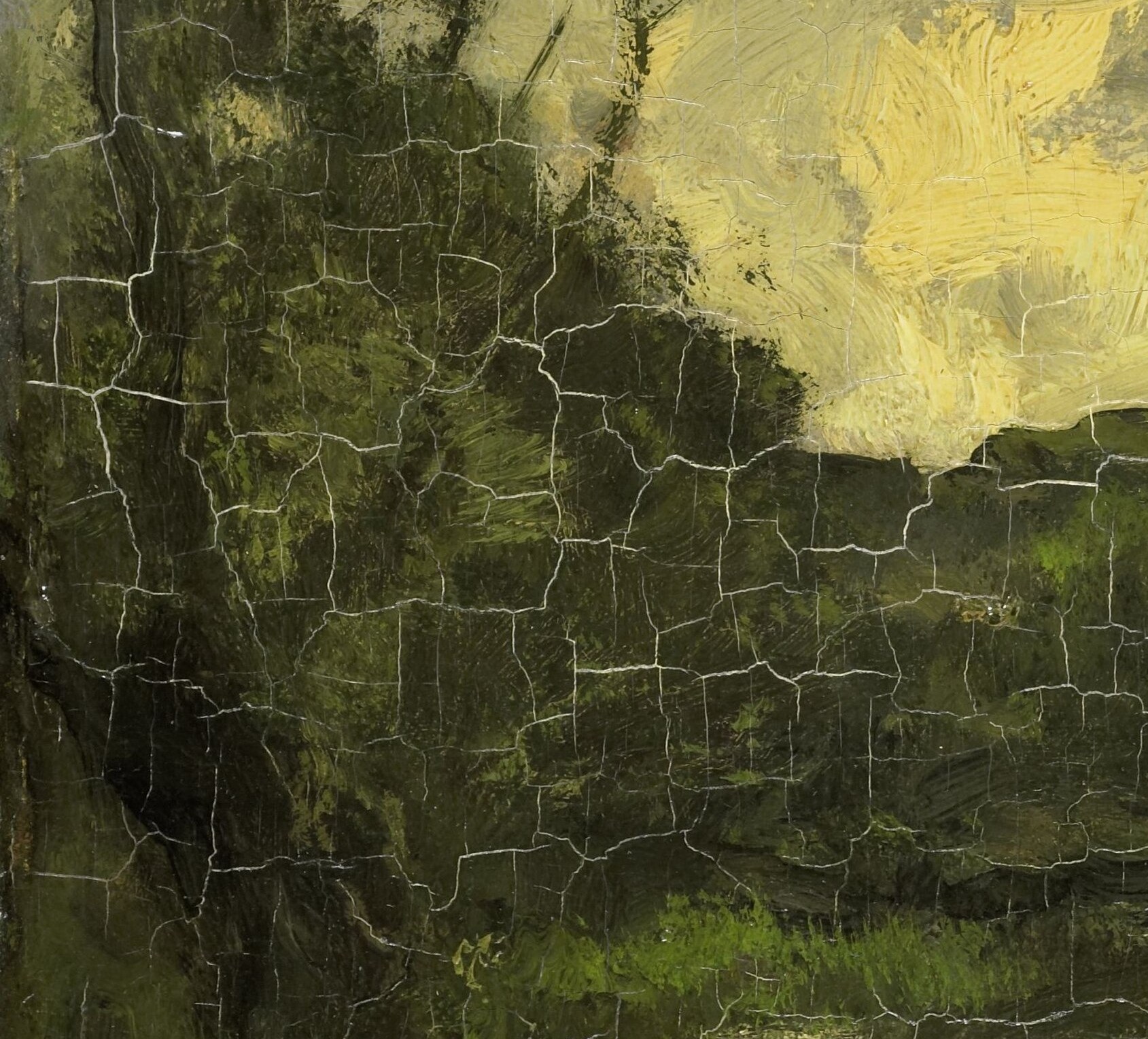 Look at the dense foliage framing the scene.