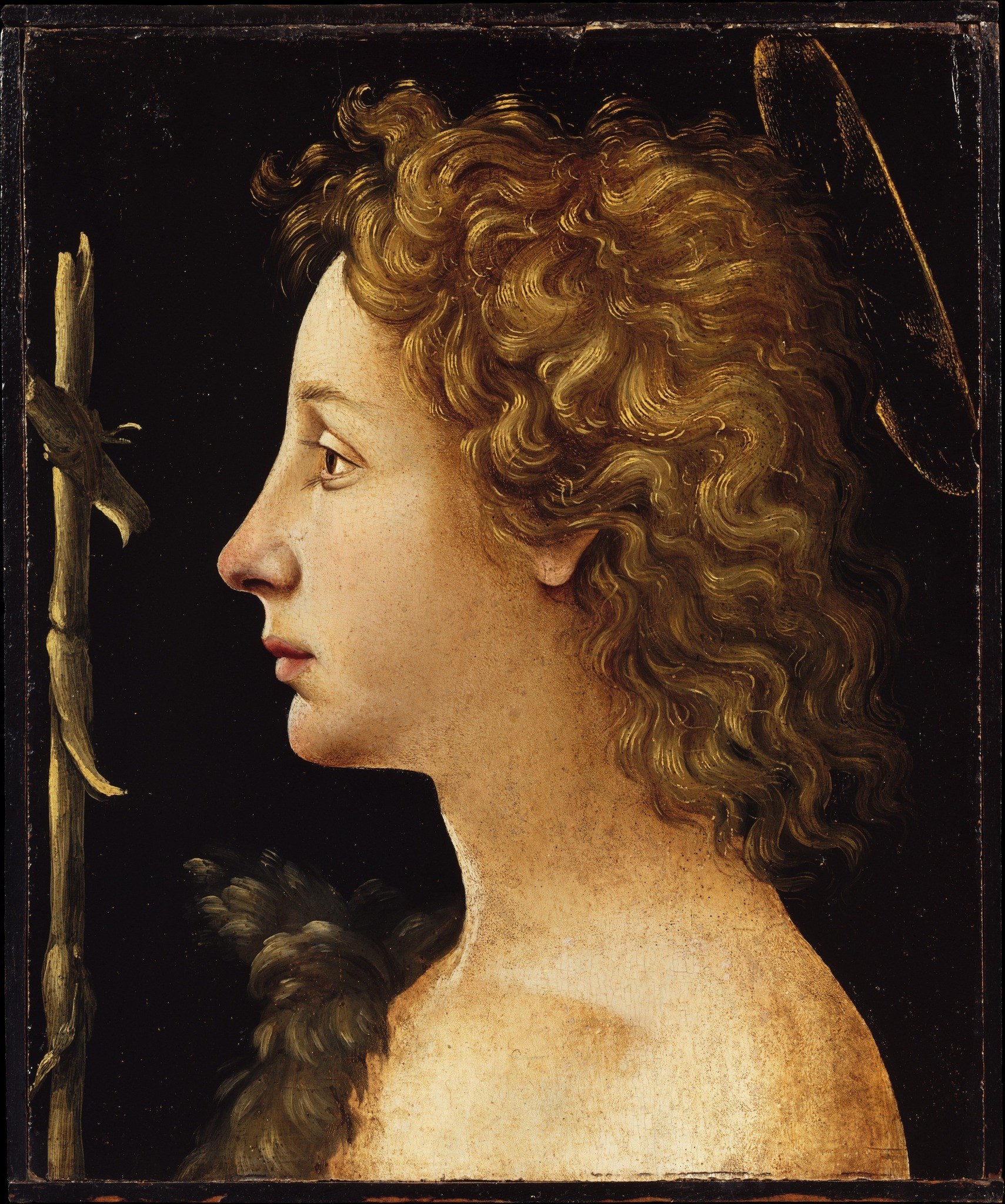 The featureless dark ground , typical of Florentine devotional panel painting , concentrates all attention on the figure and makes the golden curls appear luminous; its absolute flatness is itself a formal choice.