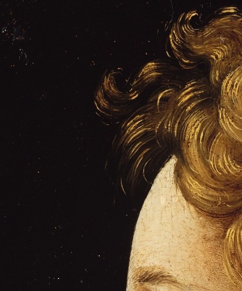 His profile is flawless: an unbroken line from brow to chin.