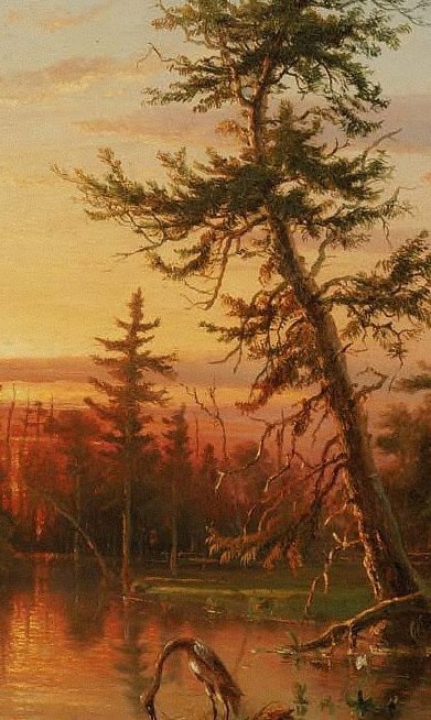 Gnarled trees suggest the swamp's age and resilience.