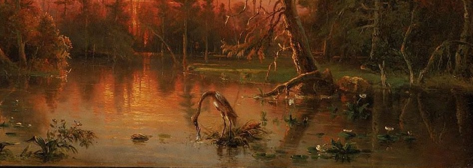 Warm light reflects on the still water.