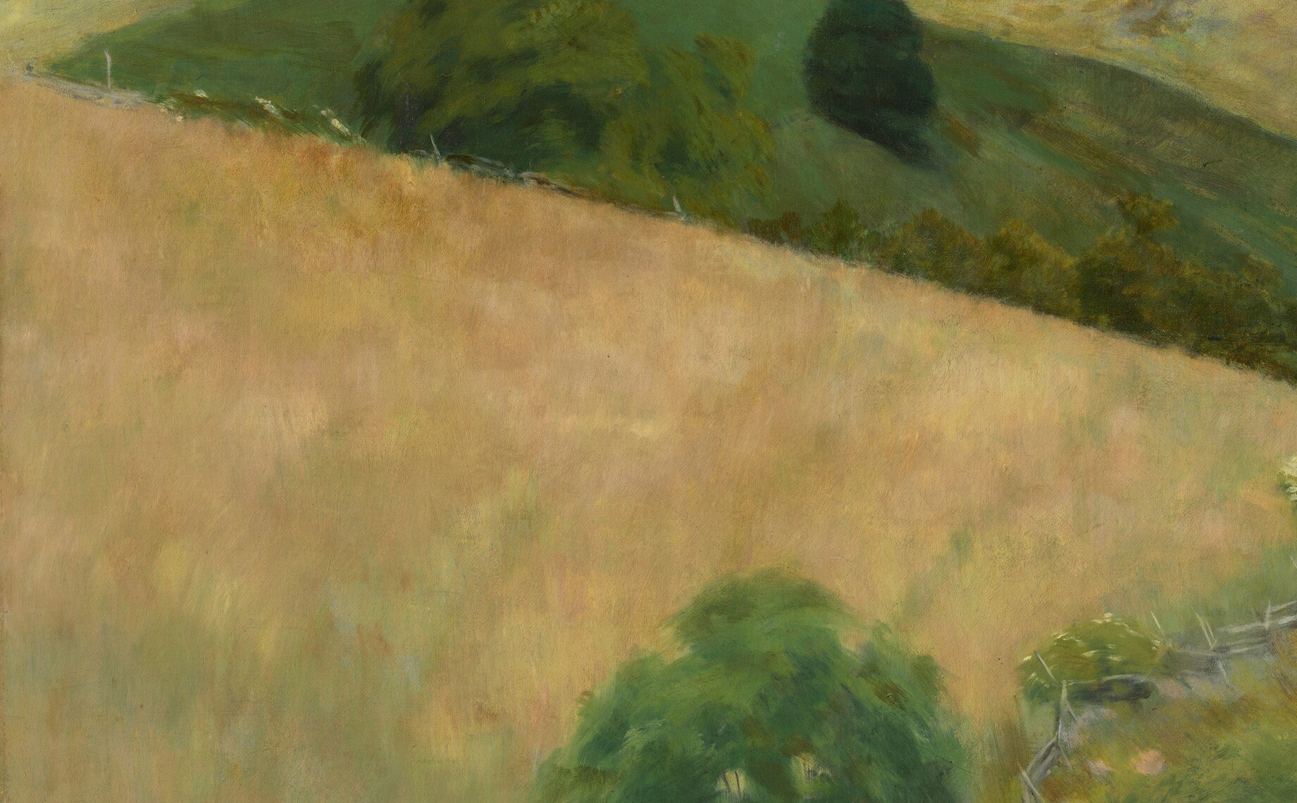 It shows a quiet rural scene, likely late summer.